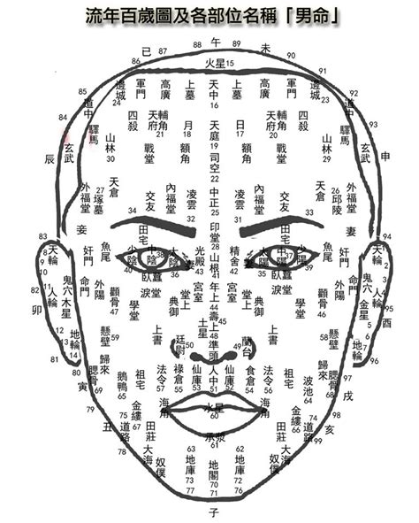 面相眼袋|【眼袋風水學】面相風水 